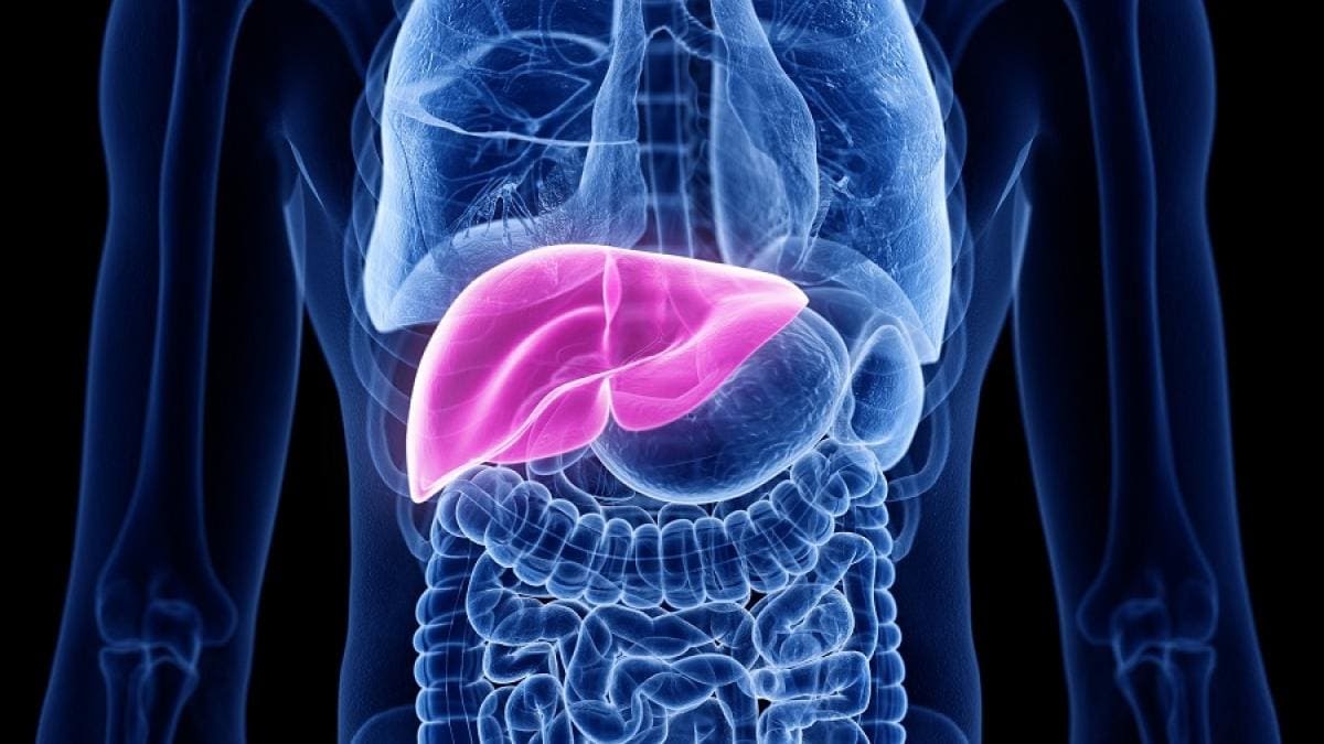 liver-picture-sixteen_nine.jpg