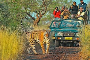 Ranthambore-National-Park-1.jpg