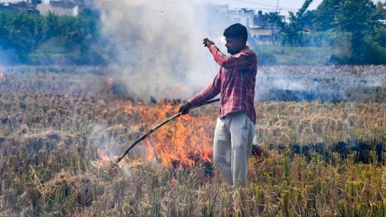 Stubble_burning_1200x768.jpeg