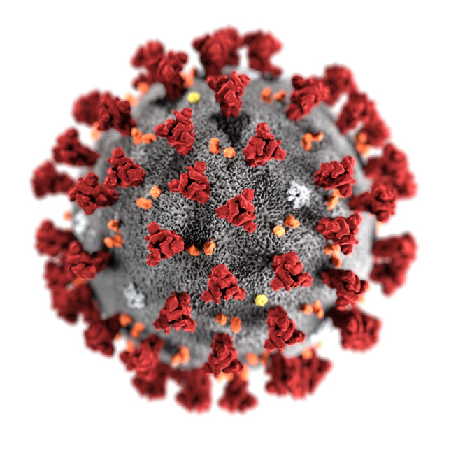 Coronavirus-CDC-645x645.jpg