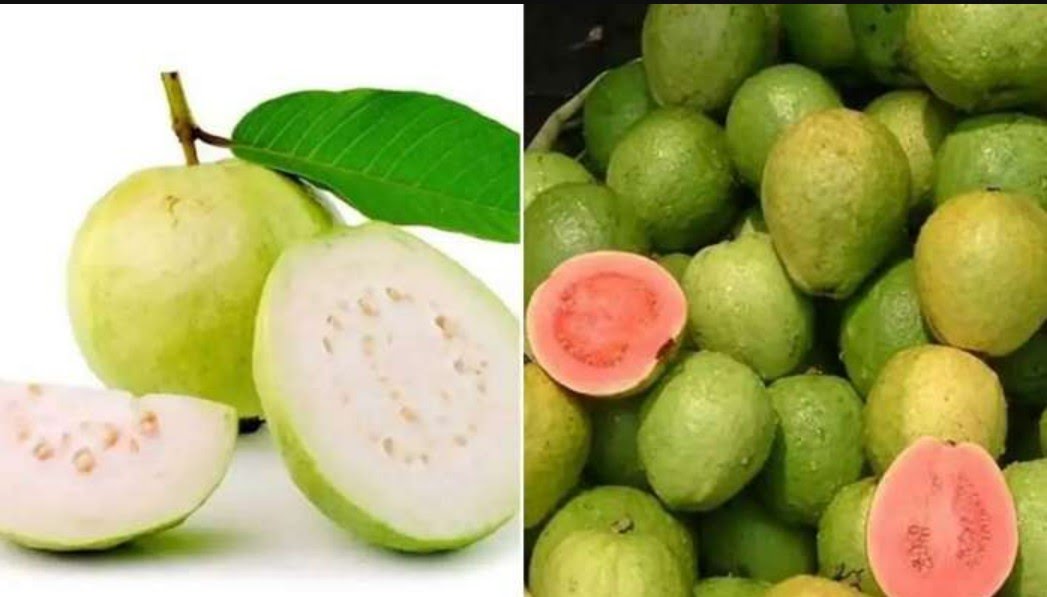 benifits-of-guava.jpg